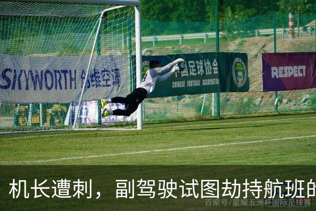 机长遭刺，副驾驶试图劫持航班的背后动机揭示
